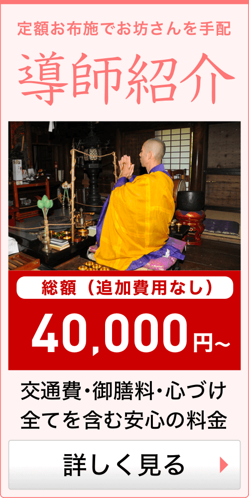 導師紹介