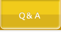 Q&A