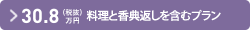30.8万円（税込33.8万円）