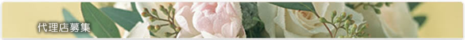 代理店募集